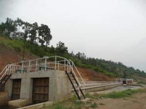 DSC02303 (1)